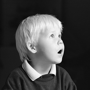 Wonder