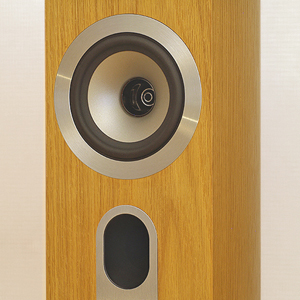 Tannoy Revolution Signature DC4