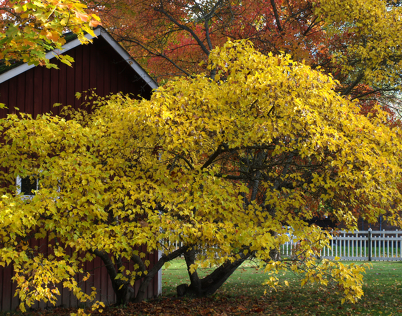 September in park