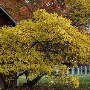 September in park