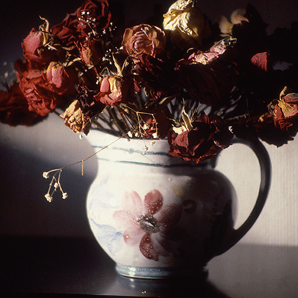 Jug of roses